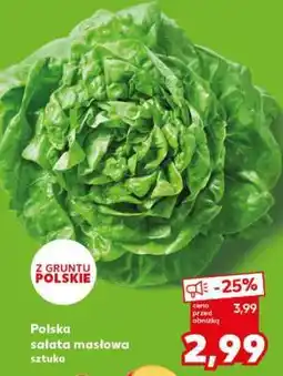 Kaufland Polska sałata masłowa sztuka oferta