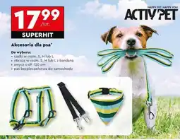 Biedronka Akcesoria dla psa oferta