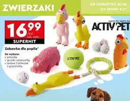 Biedronka Zabawka dla pupila oferta