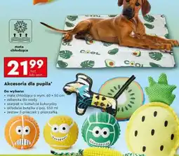 Biedronka Mata chłodząca oferta