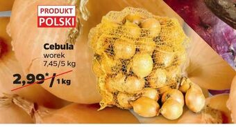 Netto Cebula oferta