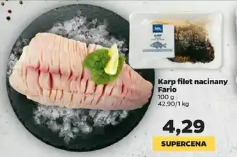 Netto Karp filet nacinany Fario oferta