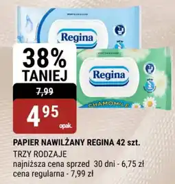 bi1 Papier nawilżany regina oferta