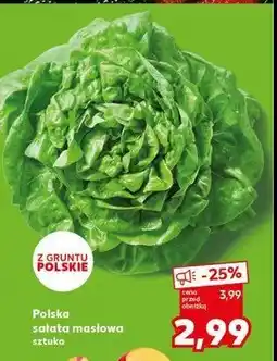 Kaufland Sałata masłowa polska oferta