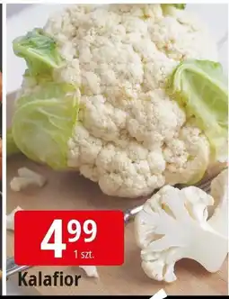 E.Leclerc Kalafior Leclerc oferta