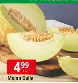E.Leclerc Melon Galia Leclerc oferta