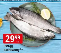 E.Leclerc Pstrąg patroszony Leclerc oferta