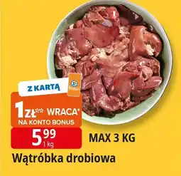 E.Leclerc Wątróbka drobiowa Leclerc oferta