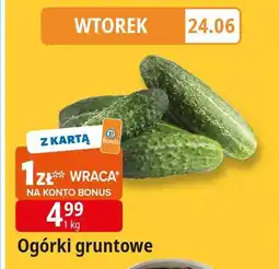 E.Leclerc Ogórki gruntowe Leclerc oferta