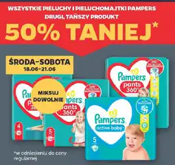Netto Wszystkie pieluchy i pieluchomajtki pampers oferta
