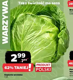 Netto Kapusta wczesna oferta
