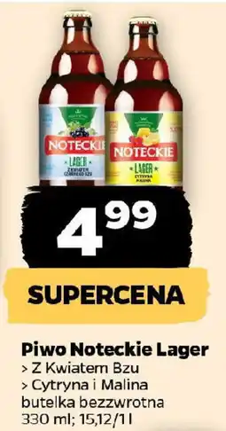 Netto Piwo Noteckie Lager oferta
