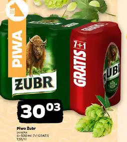 Netto Piwo Żubr oferta