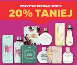 Netto Wszystkie perfumy Sentio oferta