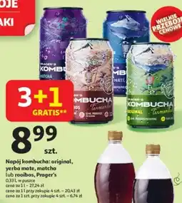 Auchan Napój kombucha: original, yerba mate, matcha lub rooibos, Prager's oferta