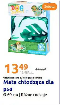 Action Mata chłodząca dla psa oferta