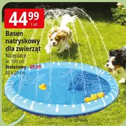 E.Leclerc Basen natryskowy 80 x 20 cm Niceplace oferta