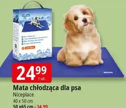 E.Leclerc Mata chłodząca 50 x 65 cm Niceplace oferta