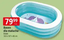 E.Leclerc Basen dla malucha 163 x 107 46 cm Intex oferta