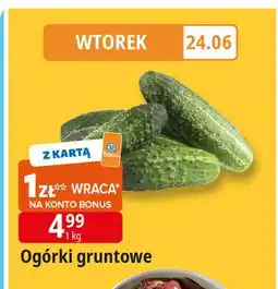 E.Leclerc Ogórek gruntowy oferta