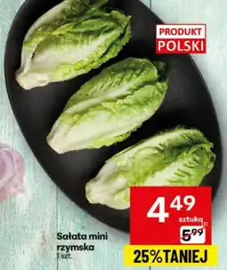 Sałata mini rzymska Delikatesy Centrum