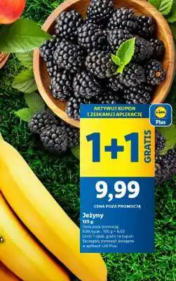 Lidl Jeżyny oferta
