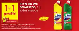 Biedronka Płyn do WC Domestos oferta