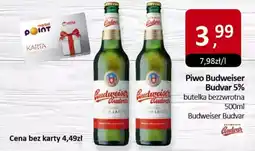 Market Point Piwo budweiser budvar 5% oferta