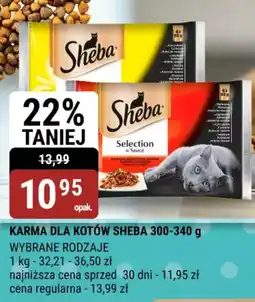 bi1 Karma dla kotów sheba oferta