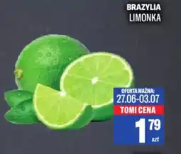 TomiMarkt Brazylia limonka oferta