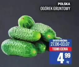 TomiMarkt Polska ogórek gruntowy oferta