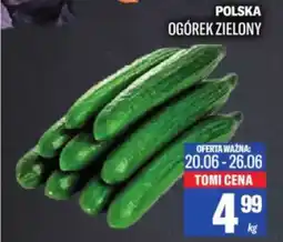 TomiMarkt Polska ogórek zielony oferta