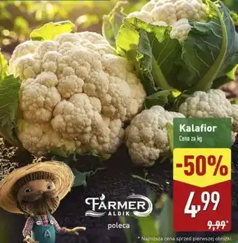 ALDI Kalafior oferta