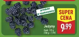 ALDI Jeżyny oferta