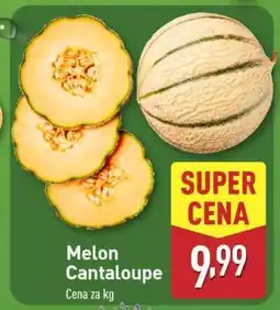 ALDI Melon CANTALOUPE oferta