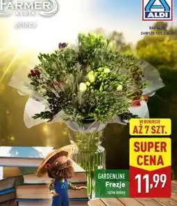 ALDI GARDENLINE Frezje oferta