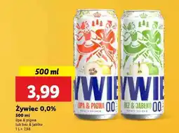 Lidl Żywiec 0,0% oferta