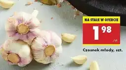 Biedronka Czosnek młody oferta