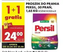 Biedronka Proszek do prania deep clean Persil Color oferta