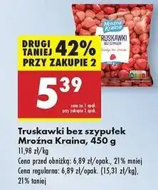 Biedronka Truskawki Mroźna Kraina oferta