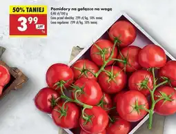 Biedronka Pomidory gałązka oferta
