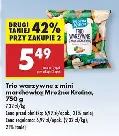 Biedronka Trio warzywne Mroźna Kraina oferta