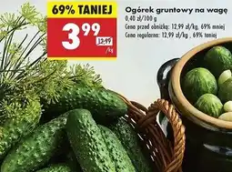 Biedronka Ogórek gruntowy oferta