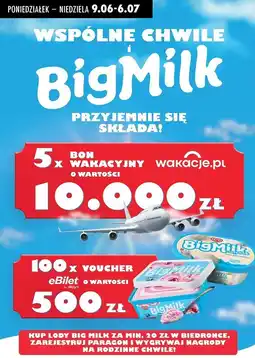 Biedronka Lody super śmietanka intense Algida Big Milk oferta