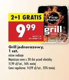 Biedronka Grill piknikowy jednorazowy Fire & Flame oferta