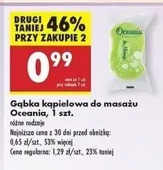 Biedronka Gąbka do masażu Oceania oferta
