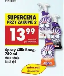Biedronka Spray koniec z pleśnią Cillit Bang oferta