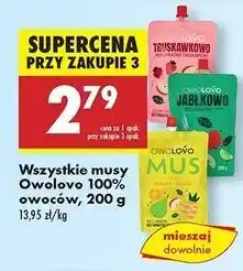 Biedronka Mus jabłko-gruszka-ananas Owolovo oferta