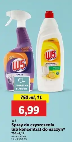 Lidl Spray do czyszczenia kamień i rdza W5 oferta