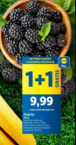 Lidl Jeżyny oferta